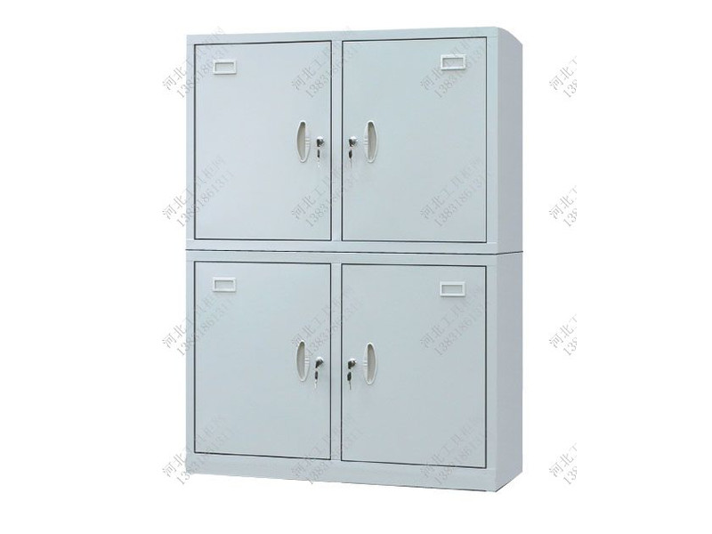 德宏雙節(jié)四門儀器櫥