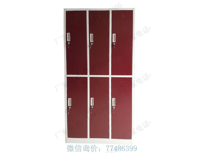 南陽(yáng)六格彩門存物柜