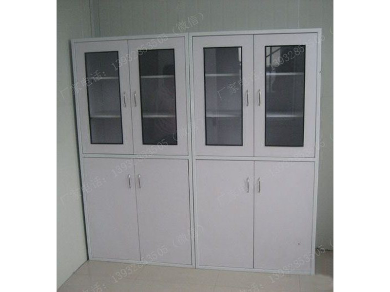 實(shí)驗(yàn)室專(zhuān)用鐵皮柜